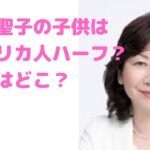 野田聖子　子供　ハーフ　胃ろう　障害　学校