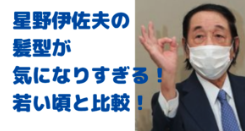 星野伊佐夫　髪型　バーコード　気になる　カツラ　若い頃　経歴