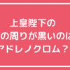 上皇陛下　明仁　目の周り　アドレノクロム　クマ