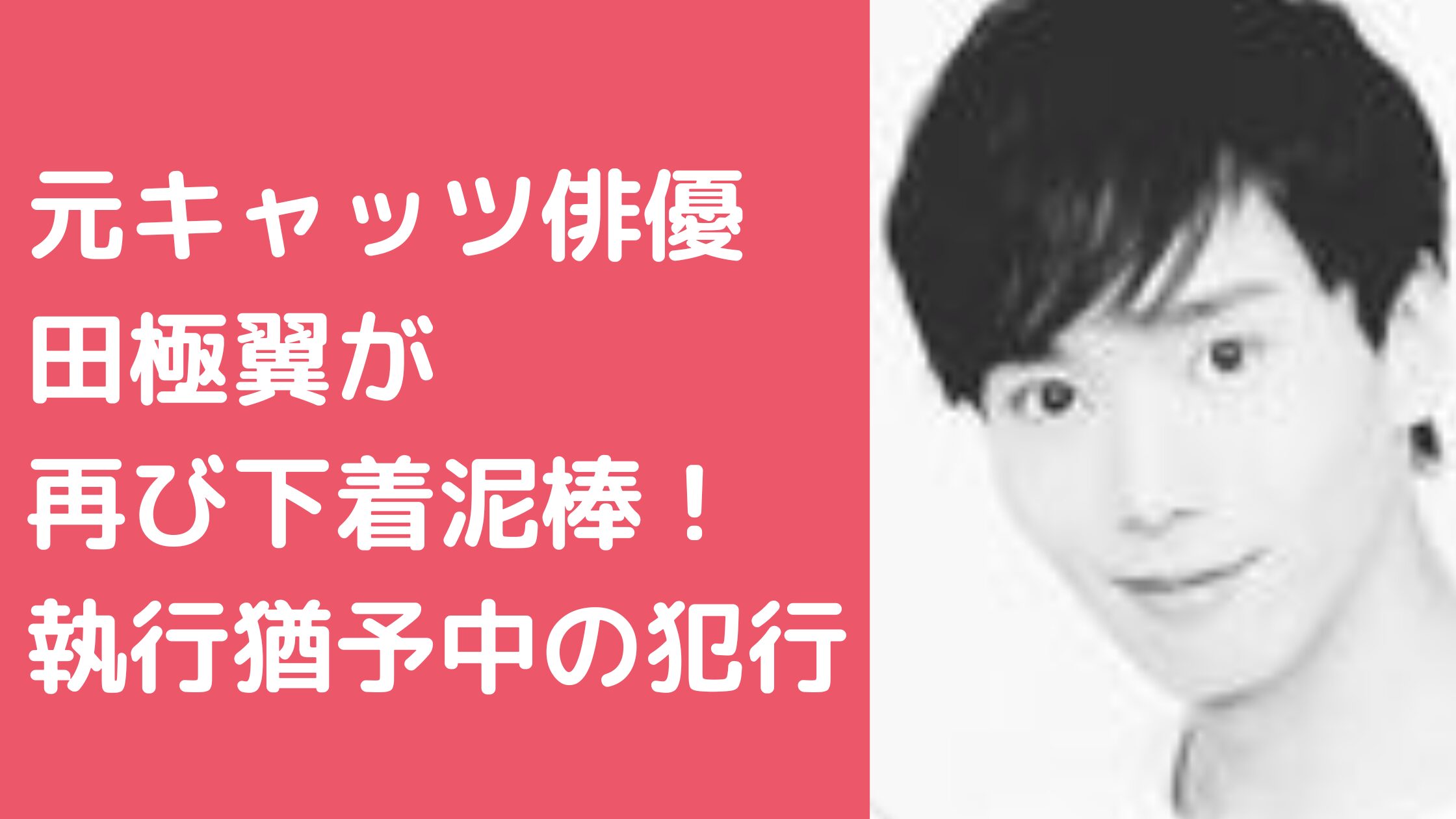 田極翼　元キャッツ　俳優　現在　職業　自宅住所　逮捕歴　判決