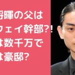 菅田将暉　父親　菅生新　アムウェイ 菅田将暉　父親　菅生新　職業　年収 菅田将暉　両親　豪邸