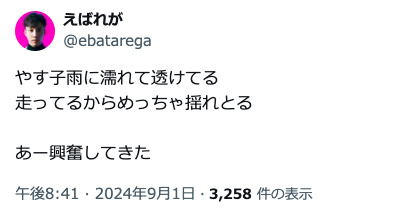 やす子　24時間テレビ　マラソン　痴漢　セクハラ　犯人　おじさん　特定