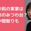 伊藤沙莉　実家　千葉市　　外観　間取り