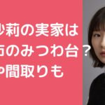 伊藤沙莉　実家　千葉市　　外観　間取り