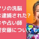 辺見マリ　洗脳　犯人　5億　マネージャー　名前 辺見マリ　洗脳　犯人　占い師　名前 辺見マリ　洗脳　犯人　拝み屋　安藤　顔画像 辺見マリ　洗脳　犯人　逮捕