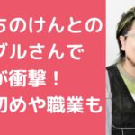 こっちのけんと　嫁ブル　本名　馴れ初め　年齢　職業