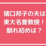 猪口邦子　旦那　猪口孝　馴れ初め　東大　年収