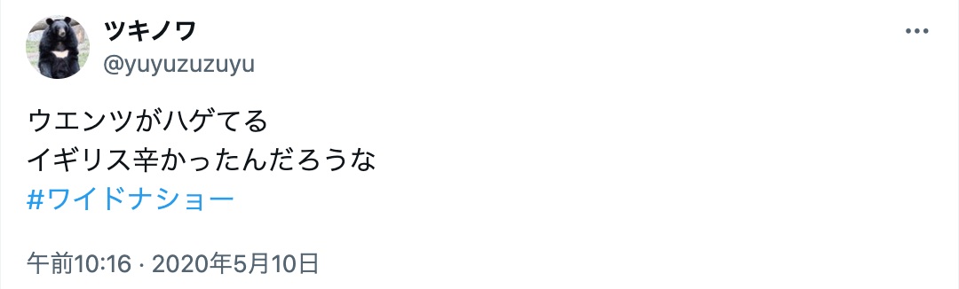 ウエンツ瑛士　髪増えた　子供時代　ハゲ