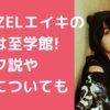 マーゼルエイキ　佐野瑛宜　至学館高校　出身　野球　小学校　中学校 マーゼルエイキ　佐野瑛宜　ハーフ　父親　母親　年齢　職業 マーゼルエイキ　佐野瑛宜　兄弟　年齢　職業