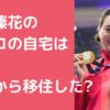 北口榛花　チェコ語　なぜ　移住　いつから 北口榛花　チェコ　移住先住所　どこ