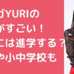 ノノガ　YURI　経歴　高校　小中学校　高校　大学　HANA