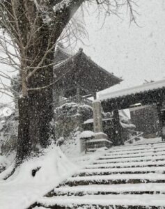 石田ひかり　夫　訓覇圭　寺　三重県　どこ　金蔵寺