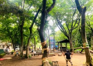 鈴木のりたけ　子供　フリースクール　ちば森の楽校