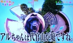 藤原竜也　自宅住所　どこ　代官山　吉田鋼太郎