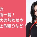 高畠百加　炎上　佐野雄大　mini ノノガ　MOMOKA HANA 高畠百加　炎上　佐野雄大　謝罪　mini ノノガ　MOMOKA HANA　 高畠百加　ノノガ　MOMOKA HANA