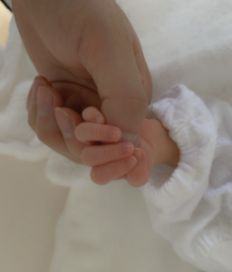 横山だいすけ　子供何人　名前　年齢　保育園　できちゃった婚　