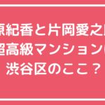 藤原紀香　片岡愛之助　自宅住所　マンション　どこ　イートンプレイス神園町 藤原紀香　片岡愛之助　自宅　マンション　間取り